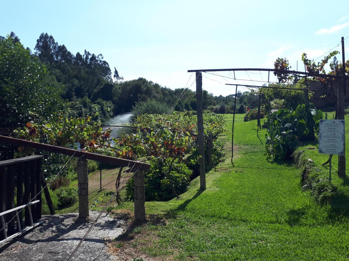 Parada  Dream Corner By Waterfalls, 20 Min To Oporto, By Porto With Love Lda מראה חיצוני תמונה